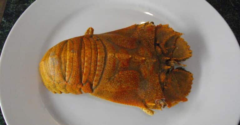 Fresh seafood on a plate — dining on Nova Scotia's South Shore
