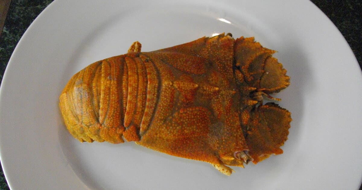 Fresh seafood on a plate — dining on Nova Scotia's South Shore