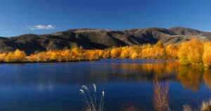 Autumn foliage reflected in a lake, Nova Scotia