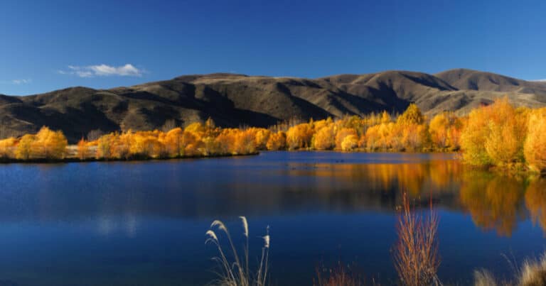 Autumn foliage reflected in a lake, Nova Scotia