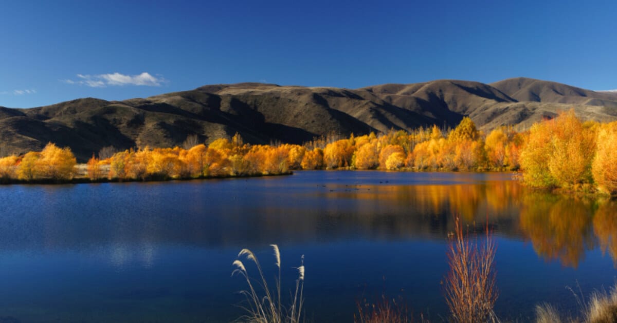 Autumn foliage reflected in a lake, Nova Scotia