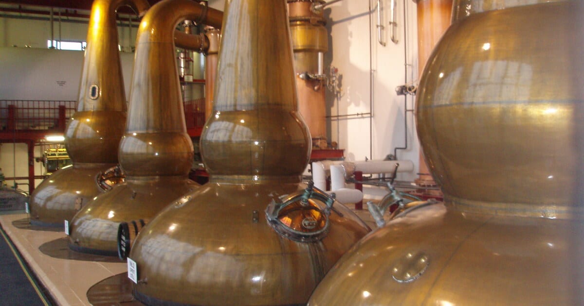Gleaming copper pot stills inside a craft distillery